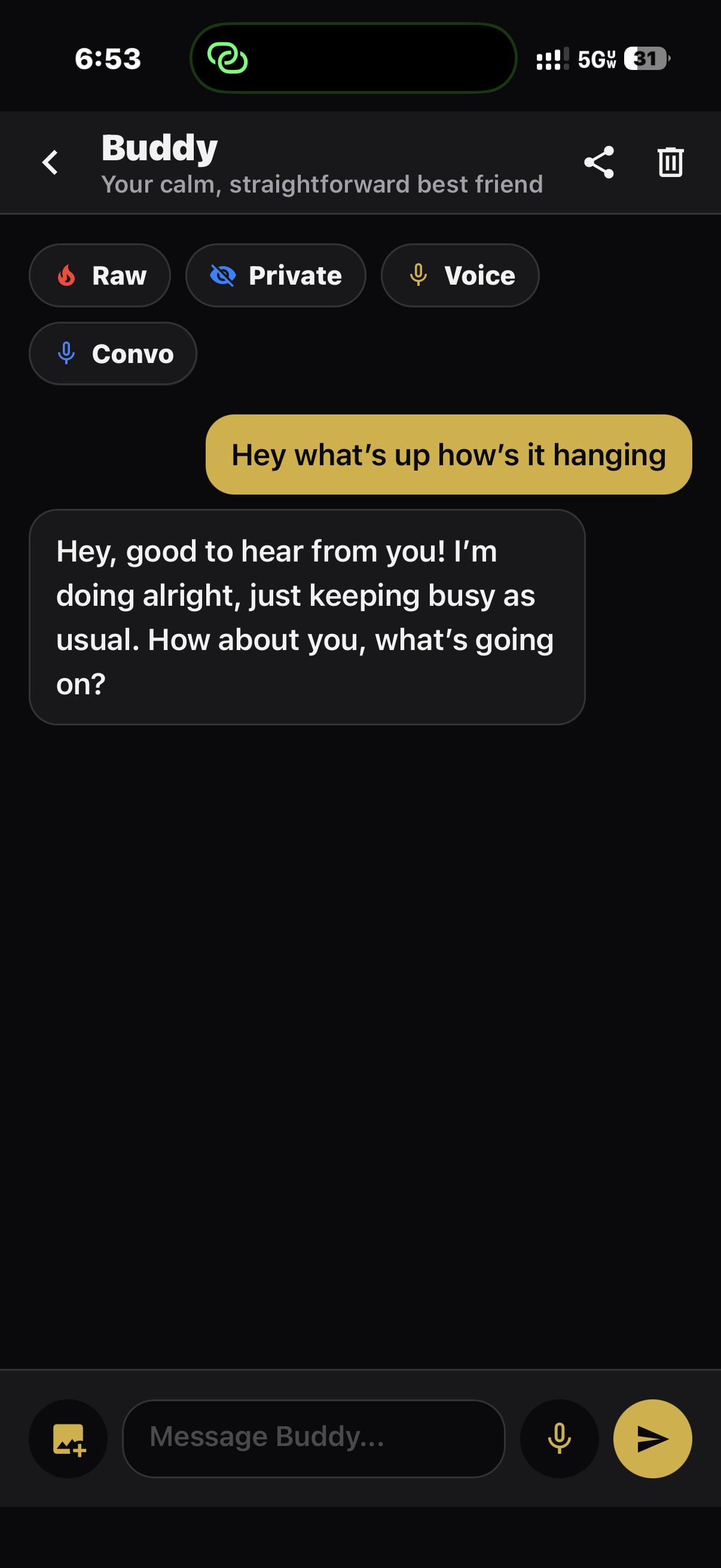 Buddy Chat